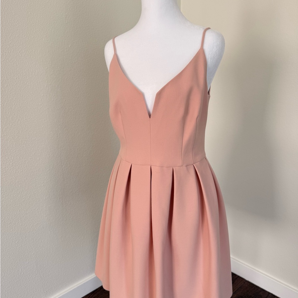 Black Halo Blush Pink Mini Dress
